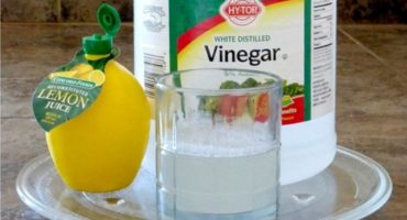 Limonlu mikrodalga temizleme - aksiyon ve uyarı algoritması